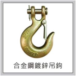 AHS不銹鋼電子吊秤 9 AHS不鏽鋼電子吊秤吊鉤