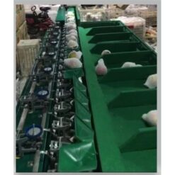 750TC10 自動控制分選選果機 11 750TC10 重量分選選果機|尚和國際衡器