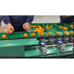 750TC10 自動控制分選選果機 8 750TC10 重量分選選果機|尚和國際衡器