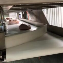 SH-914 自動控制分選機 11 SH-914 分選機輸送通道圖|尚和國際衡器