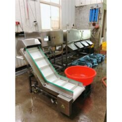 SH-914 自動控制分選機 8 SH-914擺臂式分選機與提升機|分選提升機秤