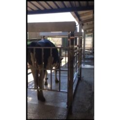 牛籠動物籠秤 8 動物牛籠秤|尚和國際衡器