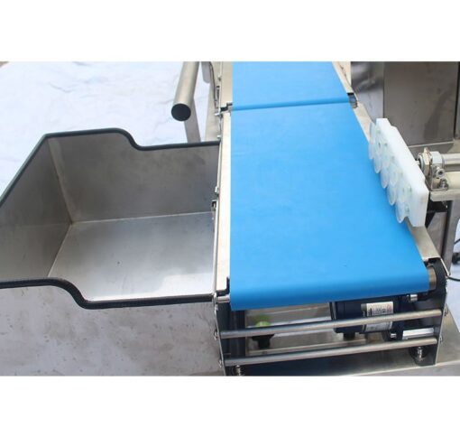 食品多裝漏裝重量檢重秤 8 食品多裝漏裝重量檢重秤輸送帶