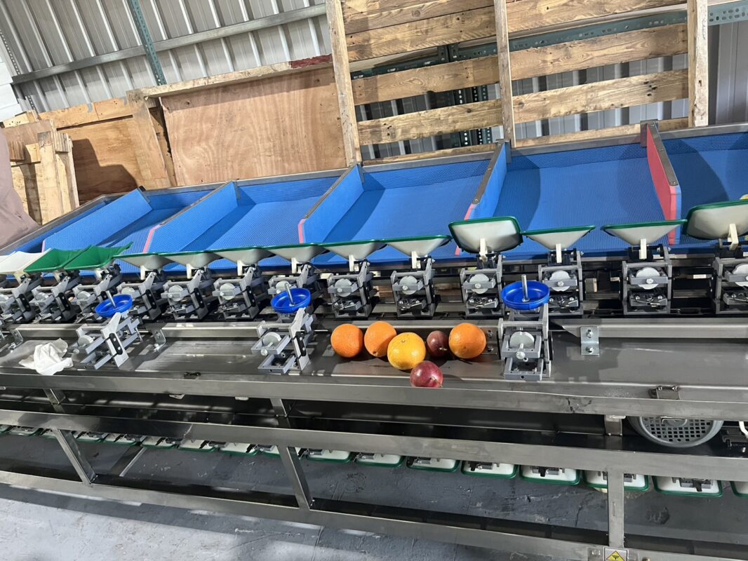 選果機案例:如何實現多樣化球形果蔬的精準重量分級與效益提升 2 選果機案例:如何實現多樣化球形果蔬的精準重量分級與效益提升(使用圖)